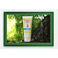 DARK GREEN WOOD FRAME 36x48 with DECORATIVE WILLIAMSBURG GREEN MAT BORDER