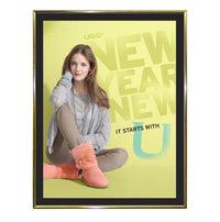 15x22 Picture Frames with Matboard (Classic Metal Poster Display)