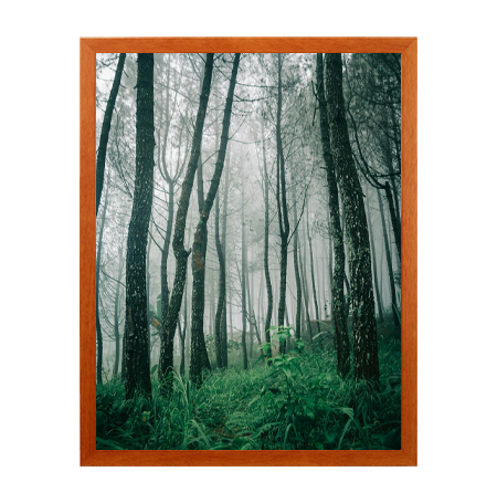SwingFrame 16x20 Wood Frame Poster Display Frame with Elegant #361 Flat Face Profile, 10 Finishes