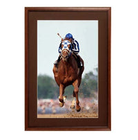 15 x 22 Wood Picture Poster Display Frames with Matboard (Wood 353)