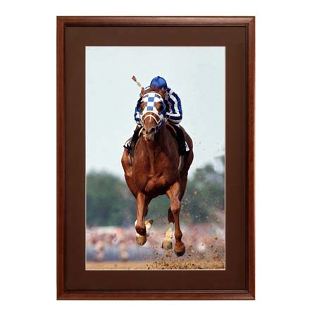 11 x 14 Wood Picture Frame | Poster Display Frame with Matboard and Elegant 3-Step Wood #353 Profile